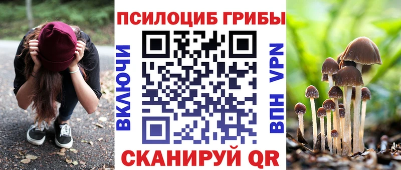 хочу наркоту  гидра сайт  Псилоцибиновые грибы MAGIC MUSHROOMS  Кукмор 
